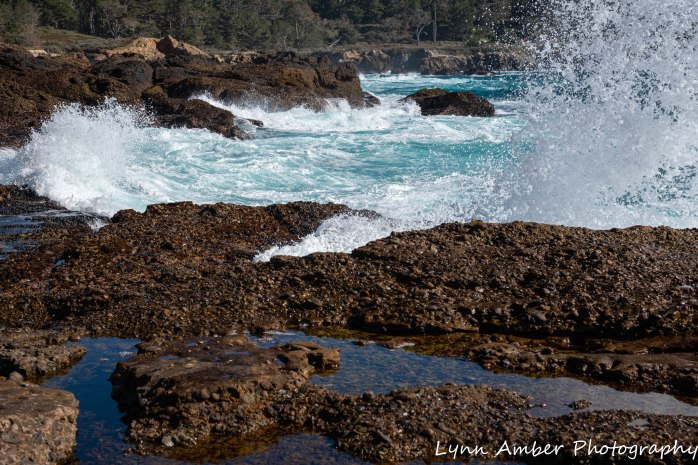 Point Lobos SNR (22 of 43)
