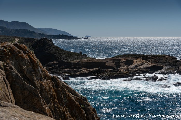 Point Lobos SNR (3 of 43)