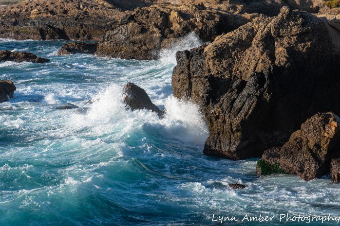 Point Lobos SNR (43 of 43)