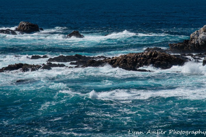 Point Lobos SNR (5 of 43)