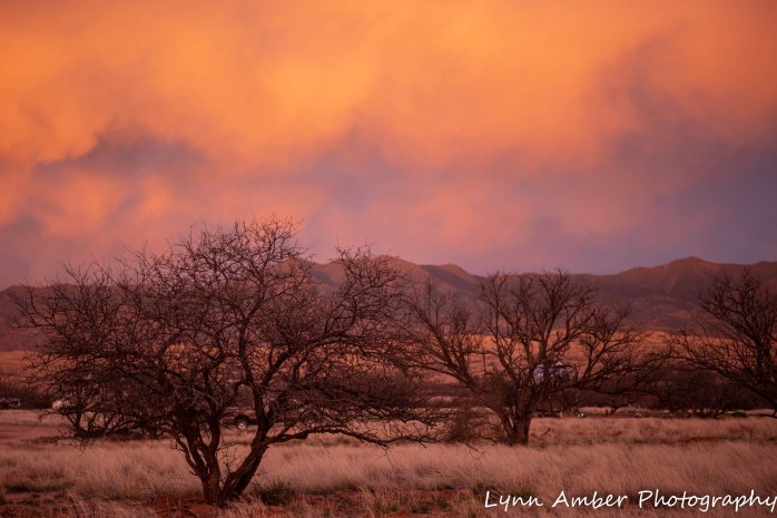 Sunst Las Cienegas (2 of 7)