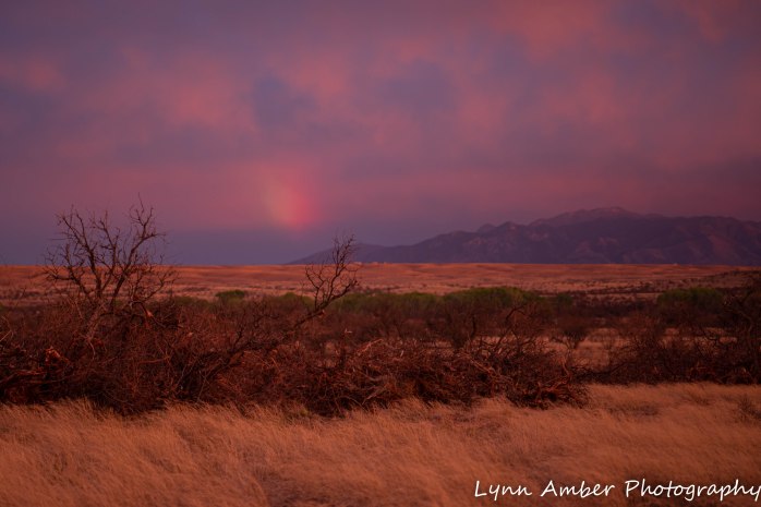 Sunst Las Cienegas (3 of 7)
