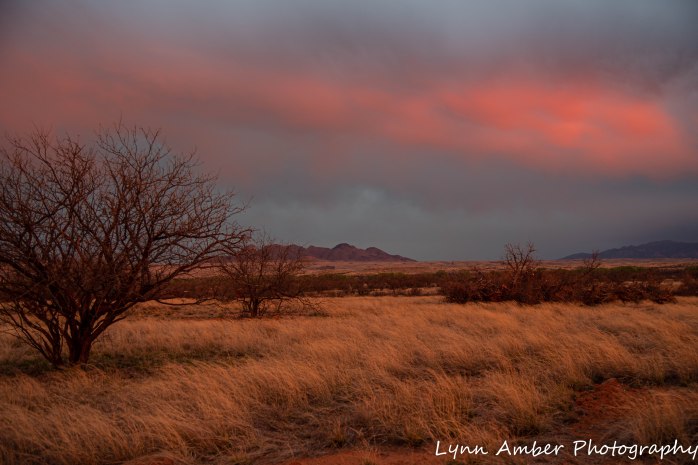 Sunst Las Cienegas (5 of 7)