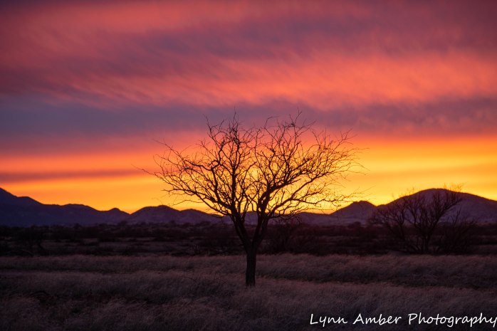 Sunst Las Cienegas (6 of 7)
