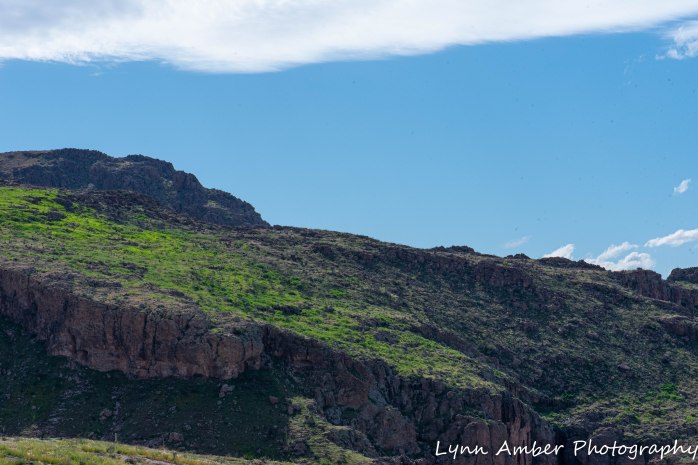 Superstition Mt hike and Fish Creek Hill (15 of 27)