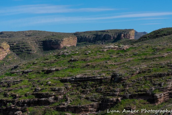 Superstition Mt hike and Fish Creek Hill (16 of 27)
