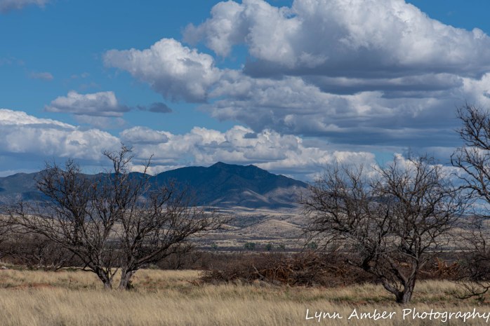 At camp Cieneguita (1 of 1)-2