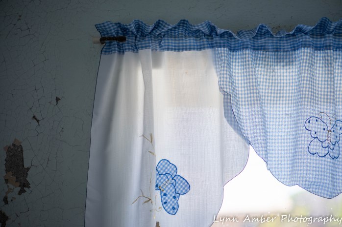 Empire Ranch architecture (3 of 8)