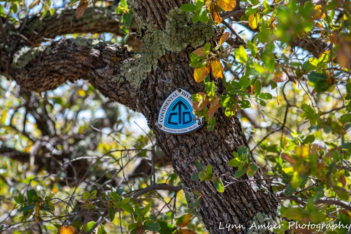 Gila NF CDT (2 of 5)