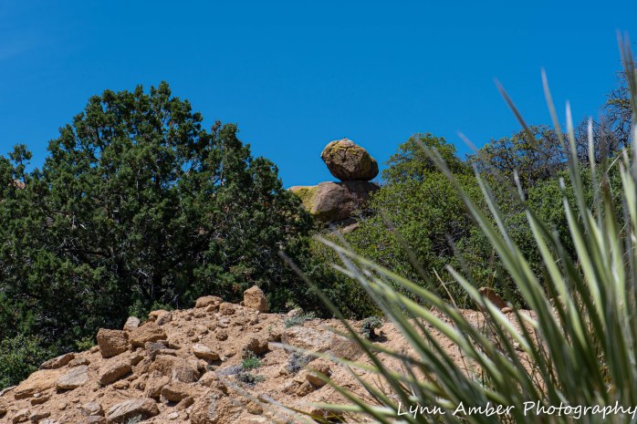 Gila NF CDT (3 of 5)