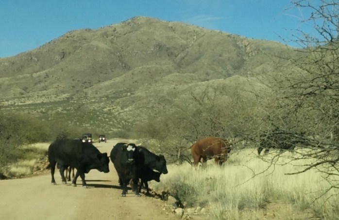 IMG_20200418_161352_2