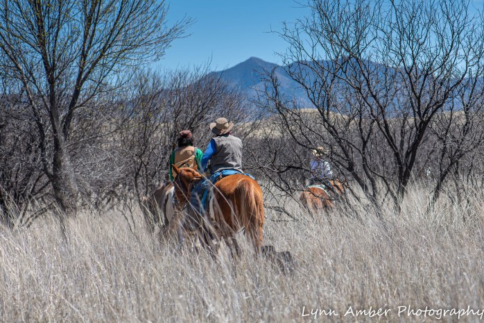 Las Cienegas Biking-4
