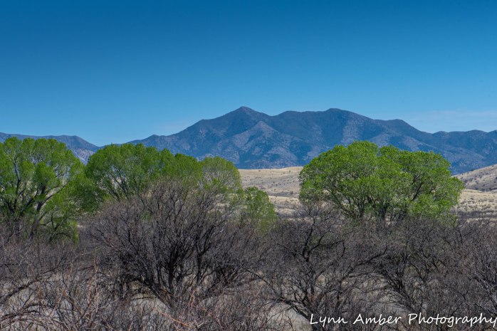 Las Cienegas Biking-5