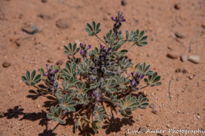 LCNCA bike ride loop (2 of 6)