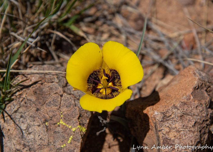 LCNCA bike ride loop (3 of 6)