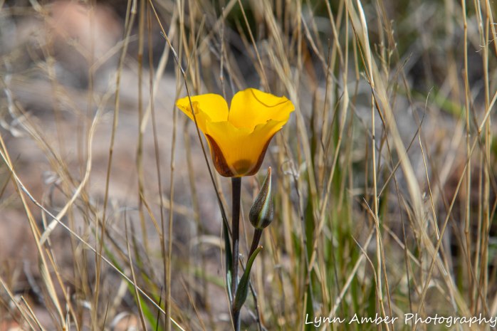 LCNCA bike ride loop (4 of 6)
