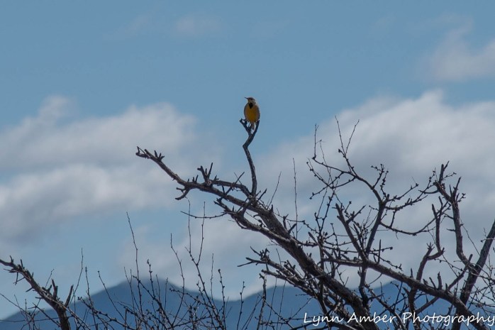 LCNCA Easter bike ride (2 of 6)