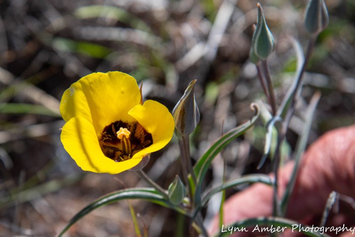 LCNCA Easter bike ride (3 of 6)