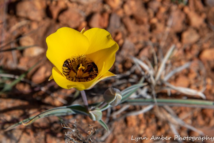 LCNCA Easter bike ride (4 of 6)