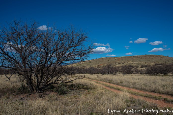 LCNCA Easter bike ride (6 of 6)