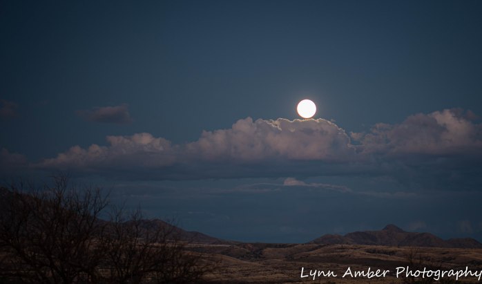 Moonrise at camp Cieneguita (3 of 7)