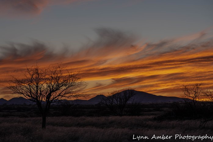 Sunset Cieneguita (3 of 3)