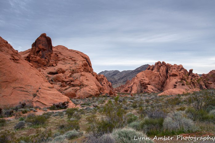 Valley of Fire Day 1 (3 of 5)