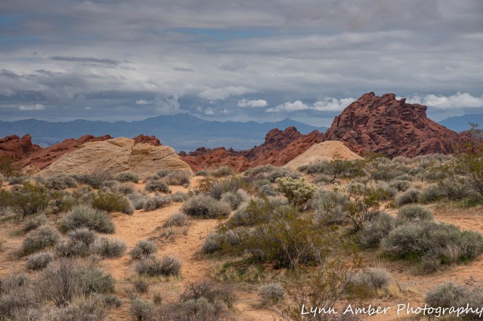 Valley of Fire Rainbow Silica Dome rd (1 of 4)