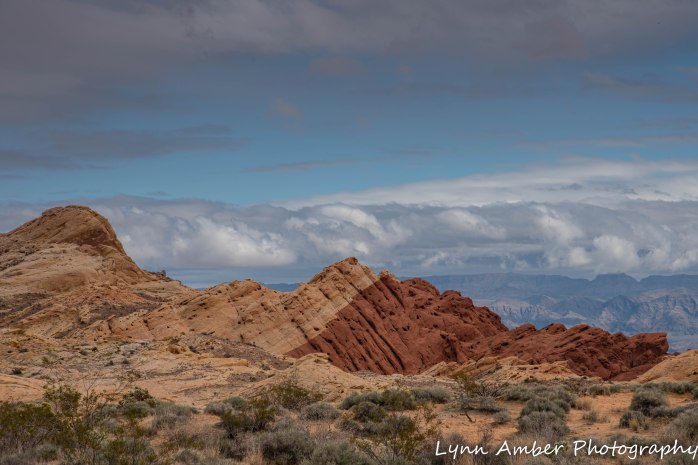 Valley of Fire Rainbow Silica Dome rd (2 of 4)