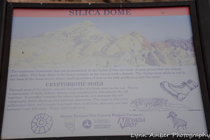 Valley of Fire Rainbow Silica Dome rd (3 of 4)