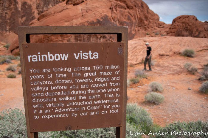 Valley of Fire Rainbow Vista Trail (10 of 10)