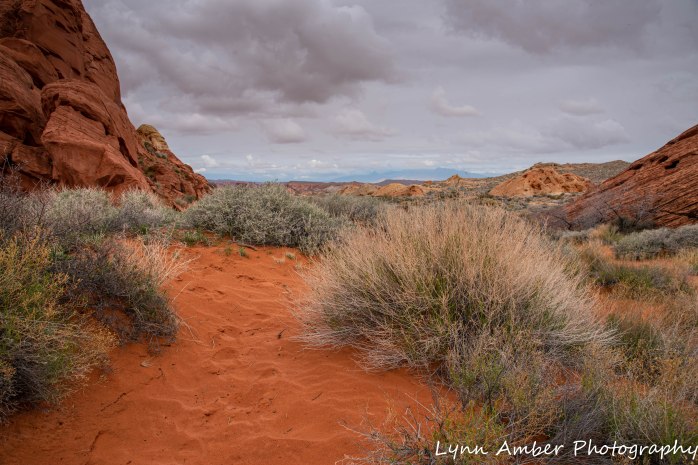 Valley of Fire Rainbow Vista Trail (2 of 10)