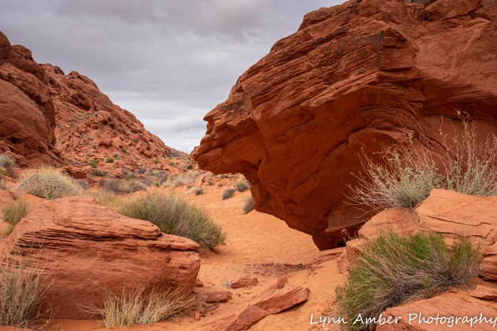 Valley of Fire Rainbow Vista Trail (9 of 10)