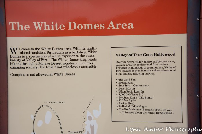 Valley of Fire Rainbow White Dome Area (1 of 10)