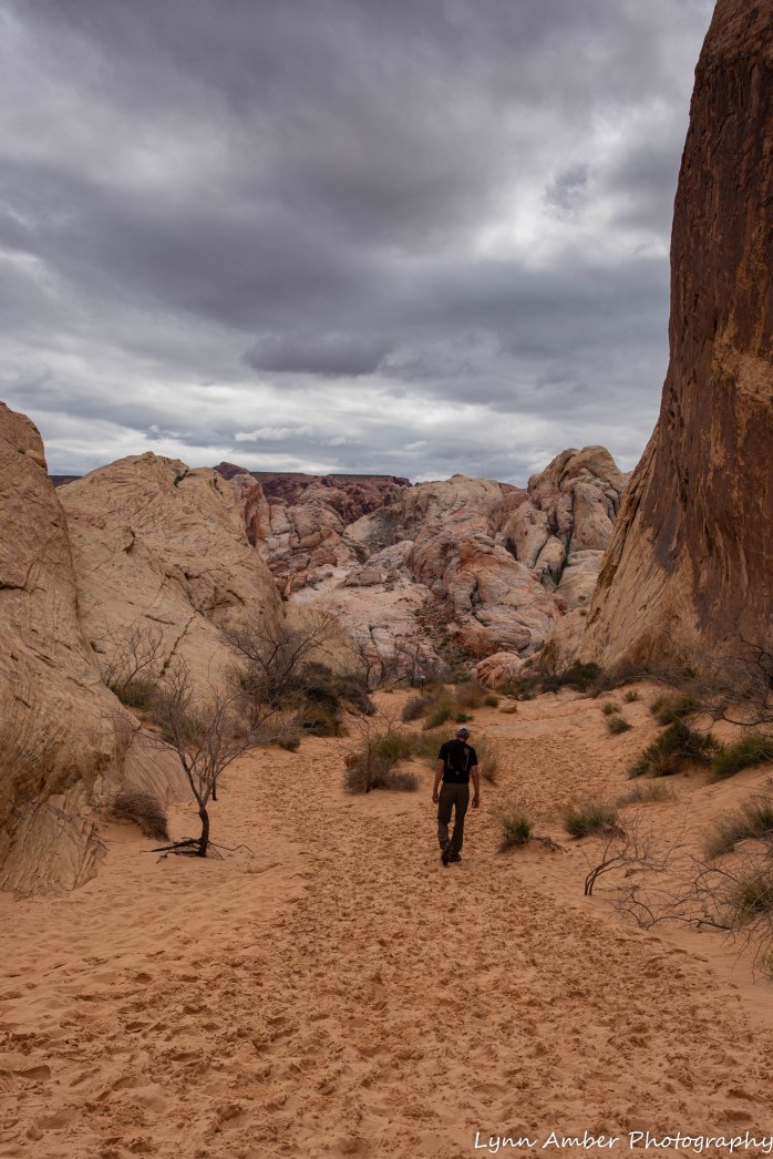 Valley of Fire Rainbow White Dome Area (3 of 10)