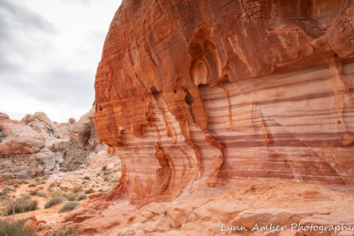 Valley of Fire Rainbow White Dome Area (4 of 10)