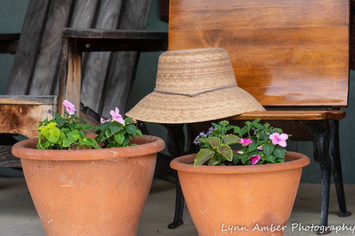 Vermont Garden (3 of 13)