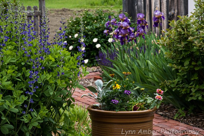 Vermont Home (4 of 6)