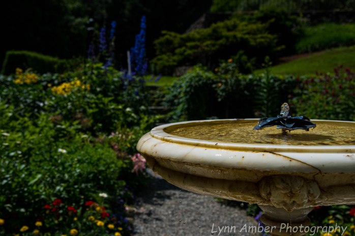 Fountain Garden