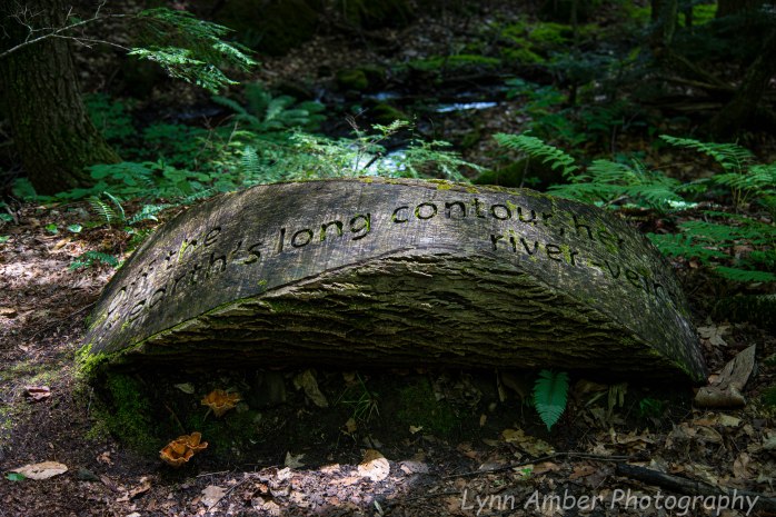 Marsh Billings Rockefeller NHP (12 of 26)