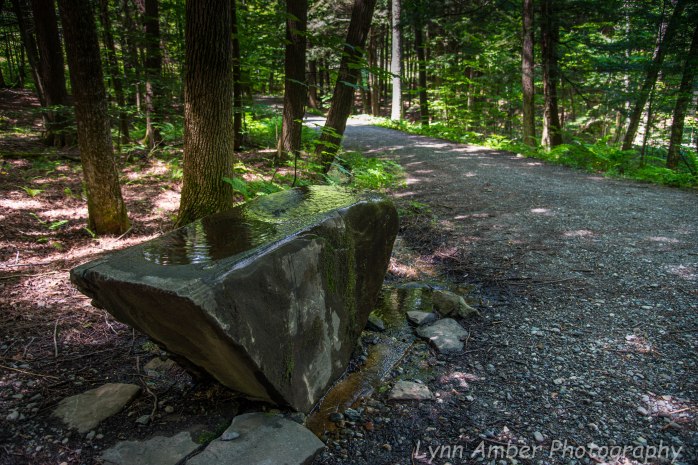Marsh Billings Rockefeller NHP (13 of 26)