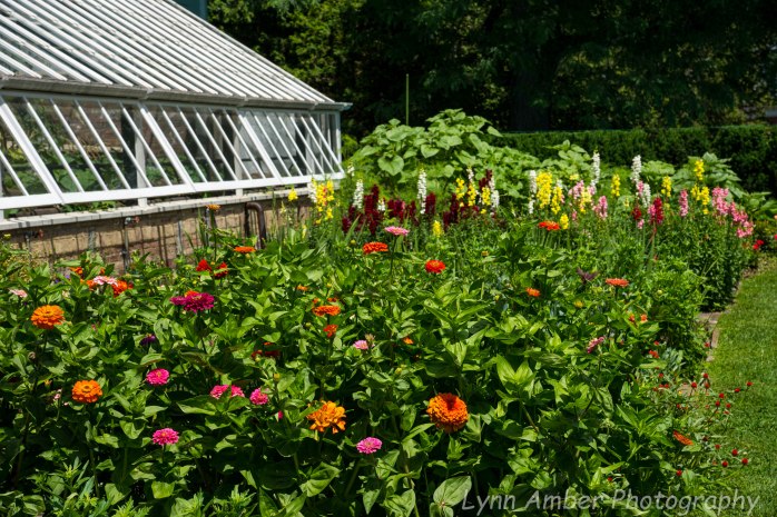 Marsh Billings Rockefeller NHP (20 of 26)