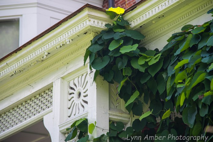 Marsh Billings Rockefeller NHP (26 of 26)