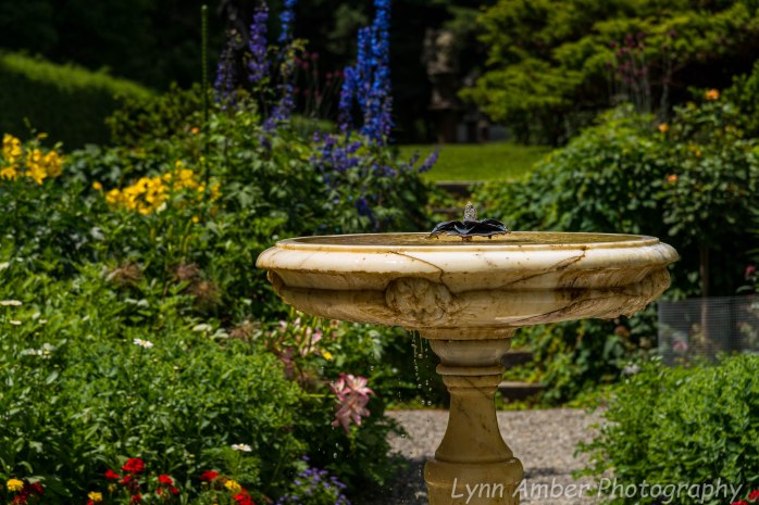 Marsh Billings Rockefeller NHP (3 of 26)