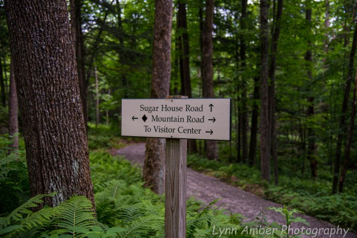 Marsh Billings Rockefeller NHP (7 of 26)