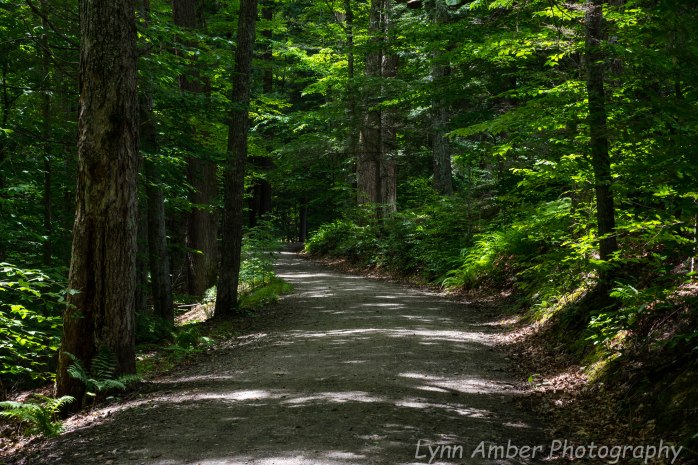 Marsh Billings Rockefeller NHP (8 of 26)