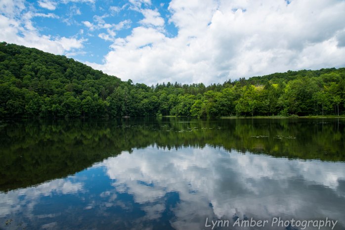 Marsh Billings Rockefeller NHP (9 of 26)