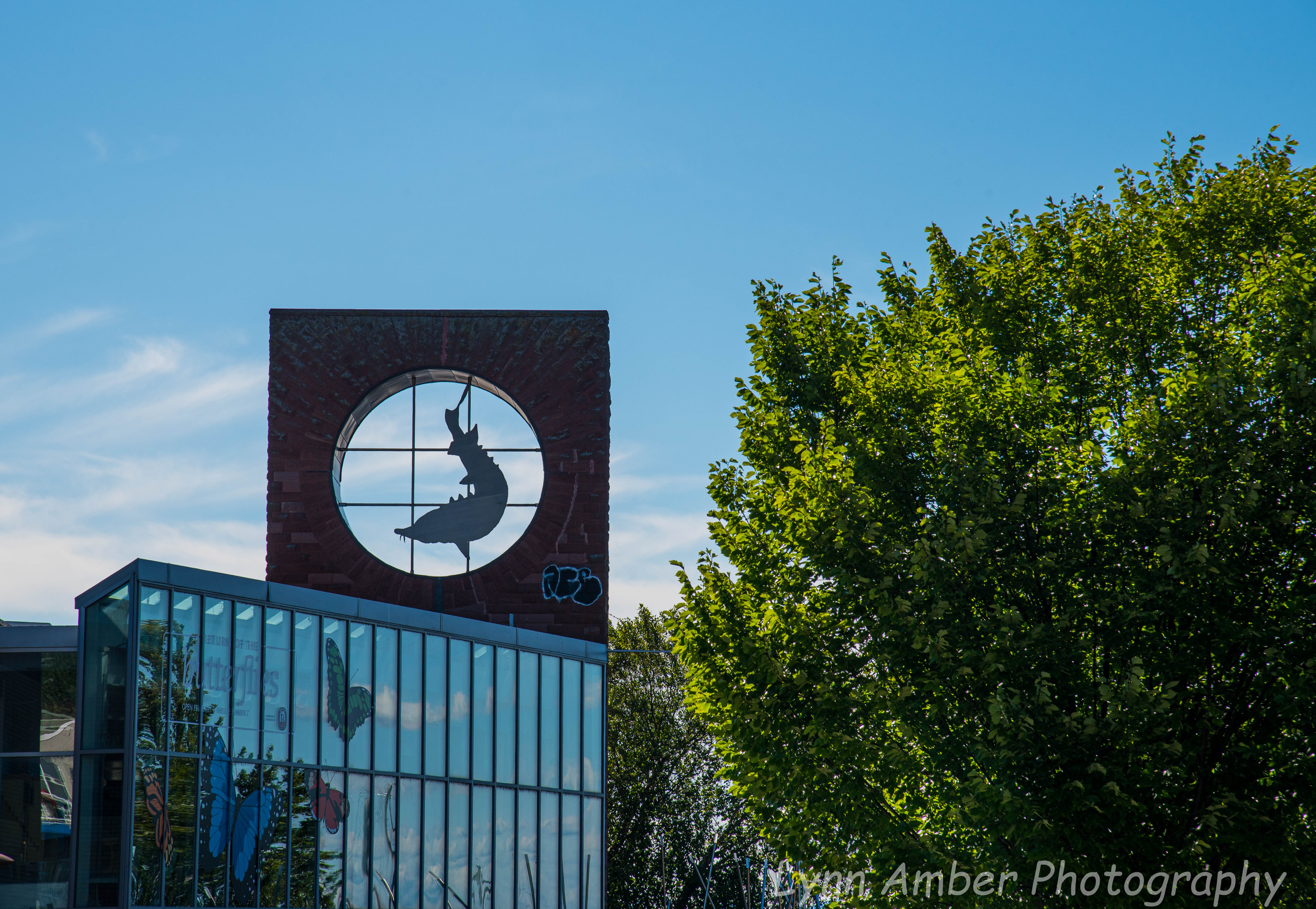 Burlington Waterfront (1 of 2)