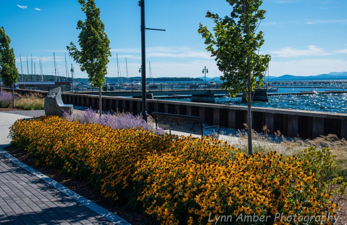 Burlington Waterfront (11 of 15)