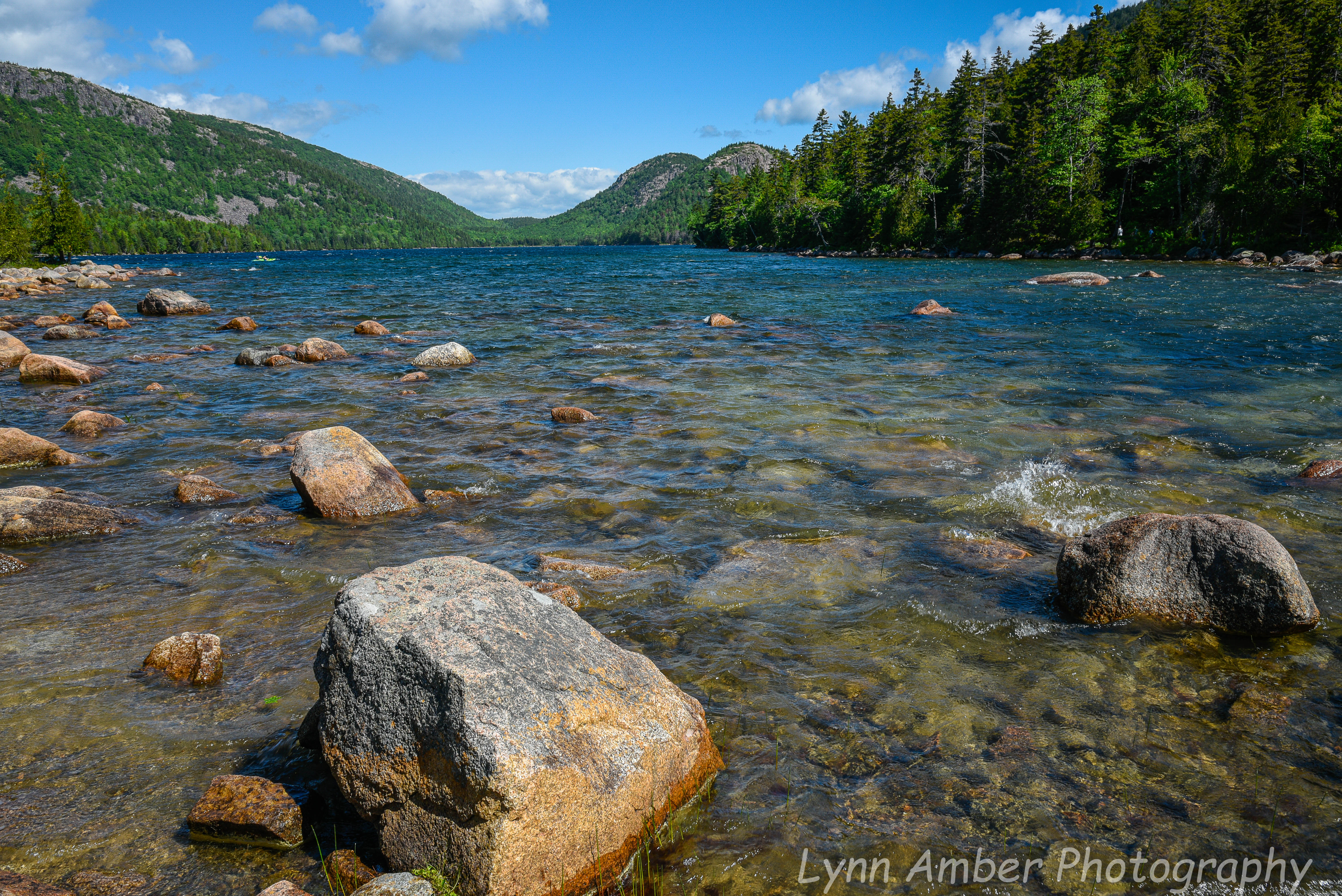 GAO act blog photos (1 of 1)